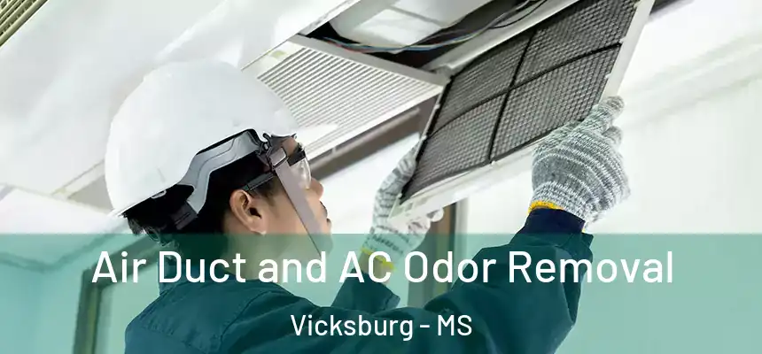 Air Duct and AC Odor Removal Vicksburg - MS