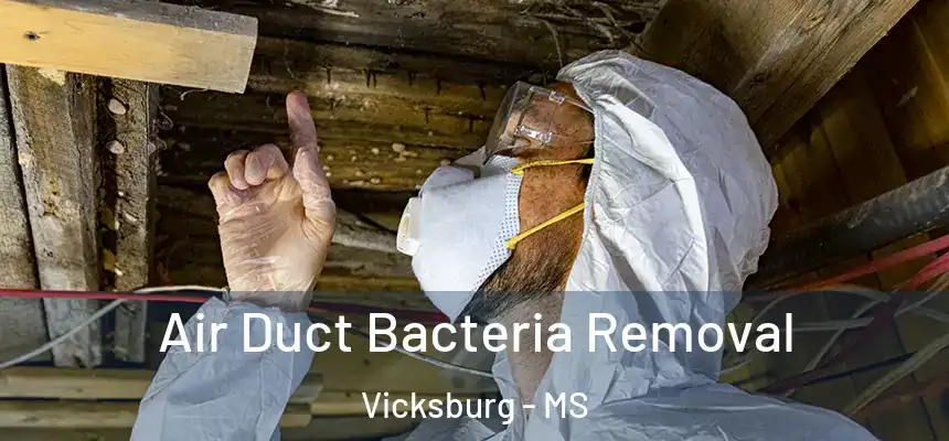  Air Duct Bacteria Removal Vicksburg - MS