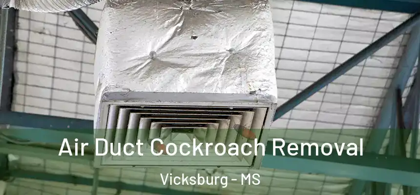Air Duct Cockroach Removal Vicksburg - MS