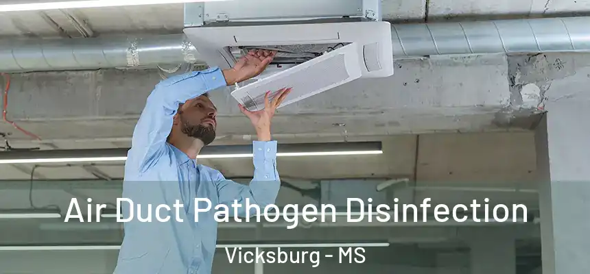  Air Duct Pathogen Disinfection Vicksburg - MS