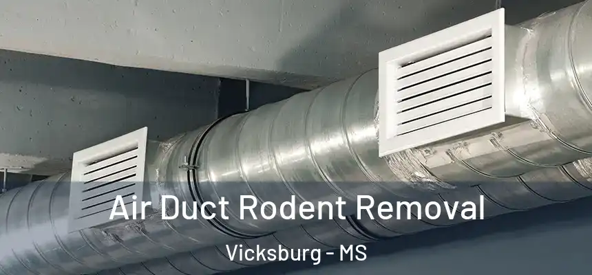 Air Duct Rodent Removal Vicksburg - MS