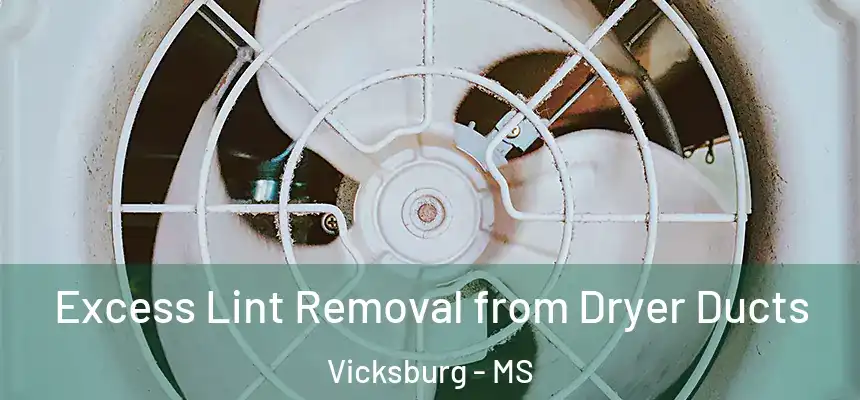 Excess Lint Removal from Dryer Ducts Vicksburg - MS