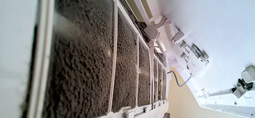 Preventive Air Duct Bacteria Removal in Vicksburg