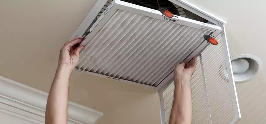 Preventive Cockroach-Proofing for Ducts in Vicksburg