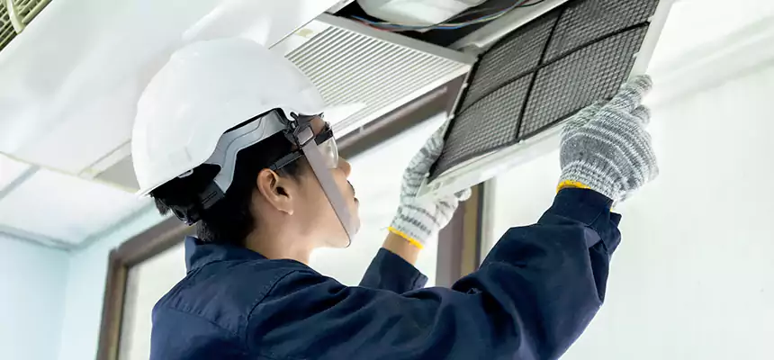 Our Mold & Mildew Removal from Air Ducts Services in Vicksburg, MS