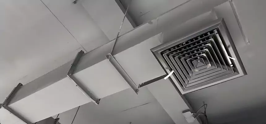 Our Rodent Droppings In Vents Services in Vicksburg, MS