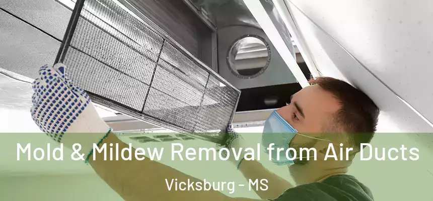Mold & Mildew Removal from Air Ducts Vicksburg - MS