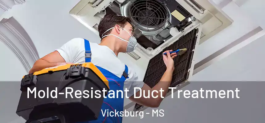 Mold-Resistant Duct Treatment Vicksburg - MS