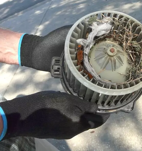 About Air Duct Mice Removal in Vicksburg, MS