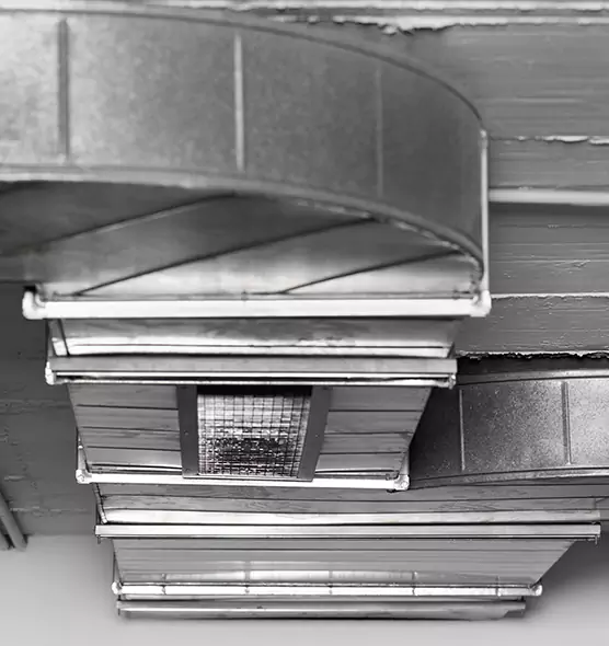 Professional Air Duct Pest Removal in Vicksburg, MS