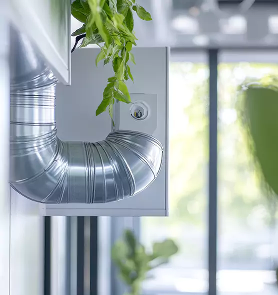 Professional Eco-Friendly Duct Cleaning Services in Vicksburg, MS