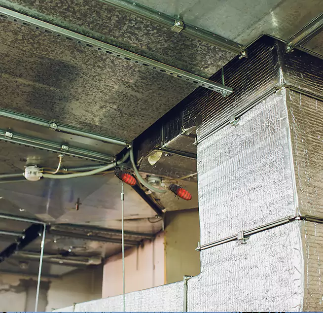 Why Homeowners & Businesses Trust Us in Vicksburg, MS?