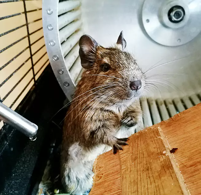 Why Homeowners & Businesses Trust Us Vicksburg, MS