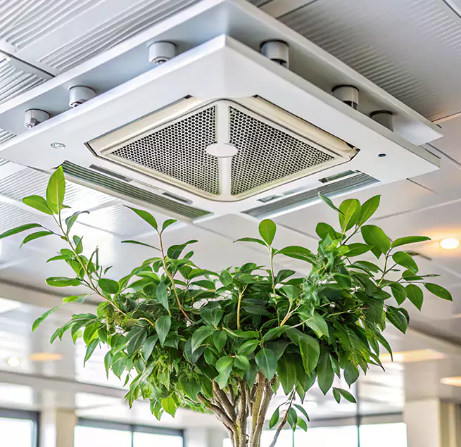 Why Homeowners & Businesses Trust Us in Vicksburg, MS?