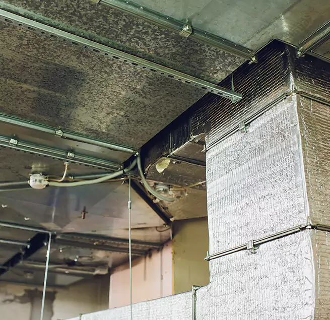 Why Homeowners & Businesses Trust Us in Vicksburg, MS?