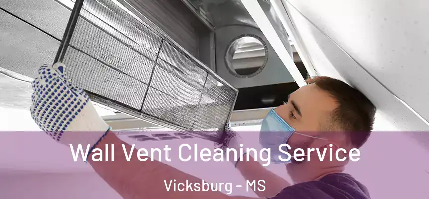  Wall Vent Cleaning Service Vicksburg - MS