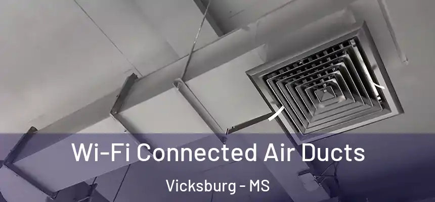 Wi-Fi Connected Air Ducts Vicksburg - MS